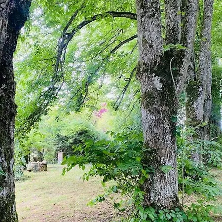 Villa Le Parc Fleury *